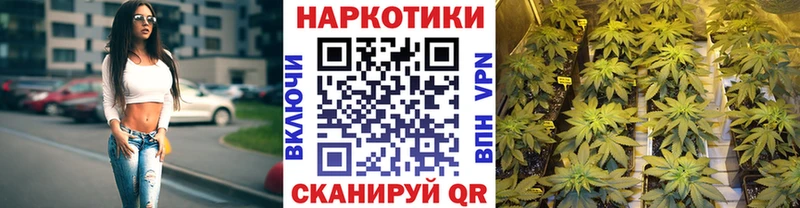 Как найти наркотики Сосновоборск ГАШ
