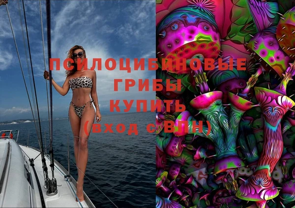 дмт Алексеевка