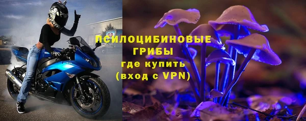 apvp Алексин