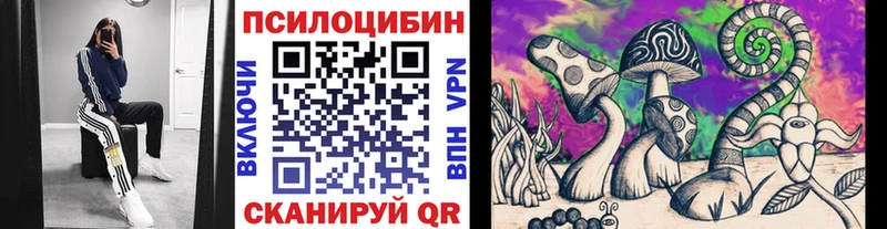 Псилоцибиновые грибы MAGIC MUSHROOMS  закладки  Сосновоборск 